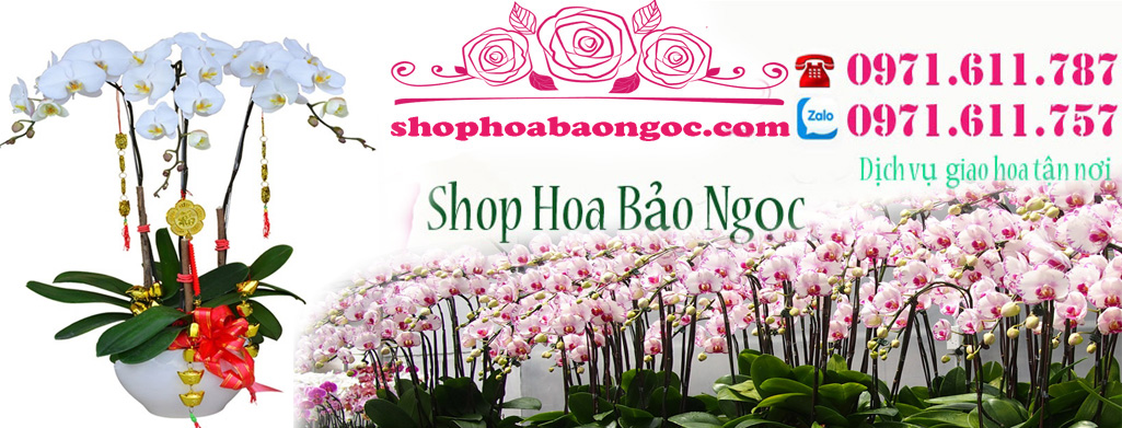 shophoa_
