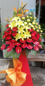 KT93 - Hoa khai trương chúc mừng