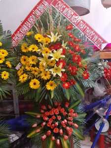 KT122 - Hoa khai trương chúc mừng